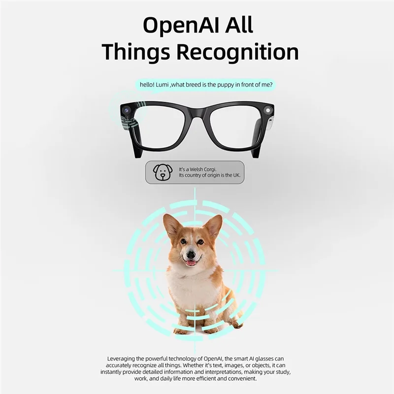 Danvarn - AI Camera Glasses