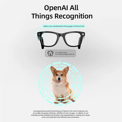 Danvarn - AI Camera Glasses